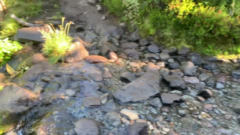 Oregon - Mount Hood - Pebble Creek Crossing