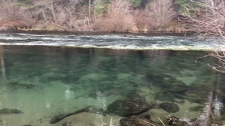 Infinity Pool Section of Metolius River – Central Oregon