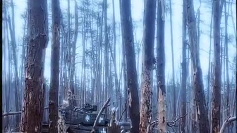 Ukrainian Tank Blasting Through the Serebryanskaya Forest with All Guns Blazing