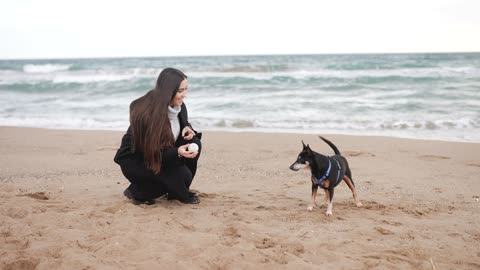 A Woman playing with her Dog,,