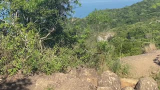 13/19 - Explorando a Trilha do Morro do Macaco em Bombinhas: Uma Experiência Imersiva! #bombinhas