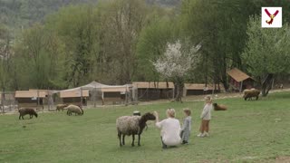 50 people recognized by sheep - Here are 10 interesting things about sheep.