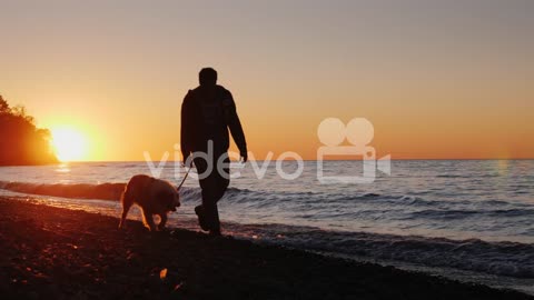 Man Walks Dog on Beach at Sunset