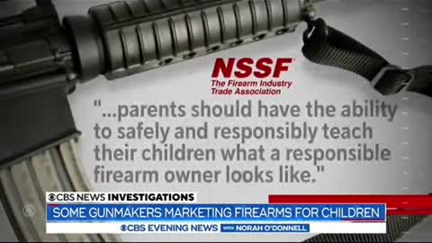 Weapons like the AR-15 are often marketed to appeal to young adults, teens and even children