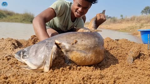 Top 10 Best 2024 Fishing Video River Sand Hole Underground #fish #video