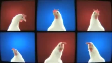 Chicken SONG