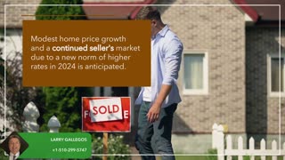 Should You Sell or Consider Buying in 2024?