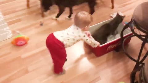 Funny Baby And Cat - Best Friend Forever