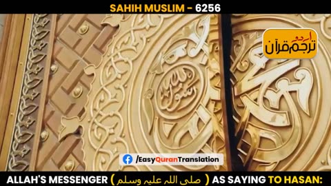 SAHIH MUSLIM-6256|Quran bayan|Urdu Translation