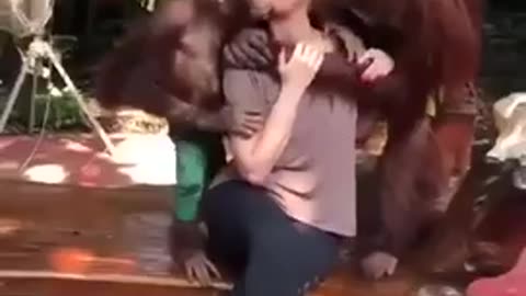 Monkey and hot girl romance 💘 ❤️ Funny