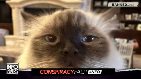 Bestiality Promoter Cenk Uygur Lies About Alex Jones’ Cat