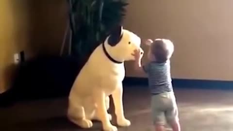 Funny babies playing with dog's 😂😂