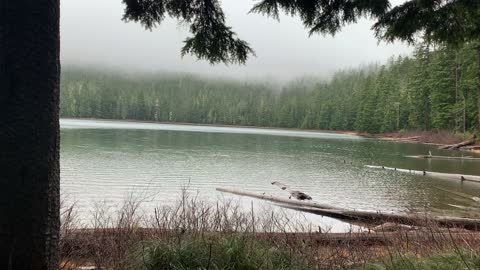 Tranquil Forest Lake – Mount Hood National Forest – Oregon – 4K