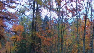 FALL COLORS IN WA