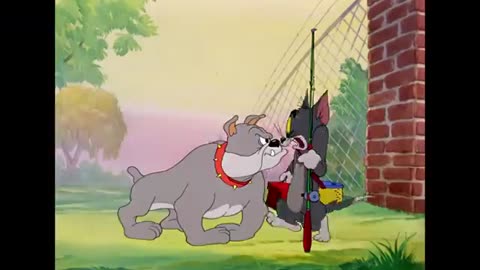 tom & jerry