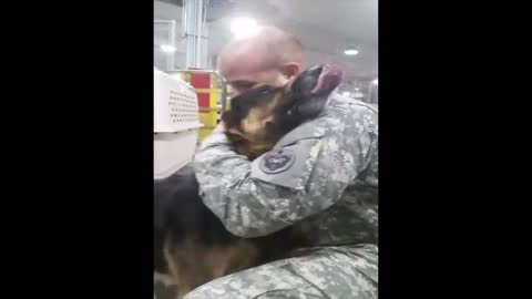 Saving A Soldier's Dog - Heart warming story from Rescue From The Hart