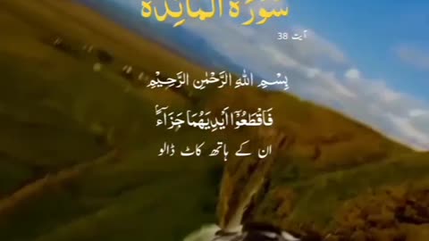 Surah Al Maida