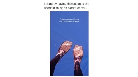 The Ocean Is The Scariest Thing on Planet!
