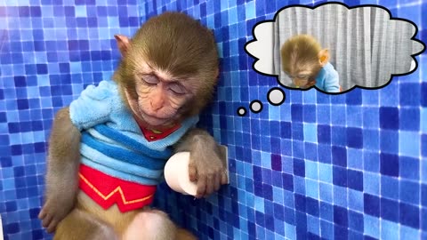 Monkey Baby Bon Bon Bathing In The Bathroom