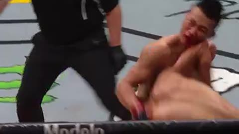 5 Most rare Finishes in the UFC