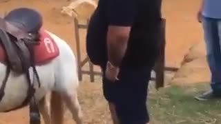 Crazy man and horse