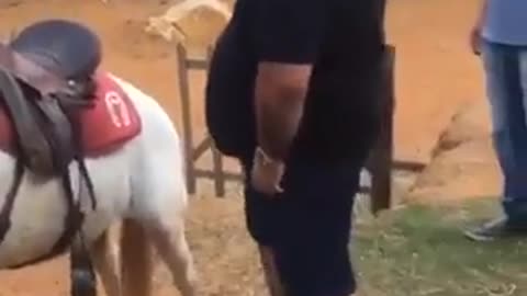 Crazy man and horse