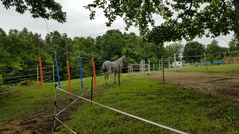 Pool noodle curtain