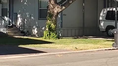 5G Antennas placed dangerously close to the last floor of the building