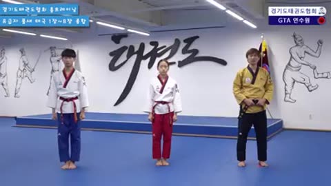 Taekwondo