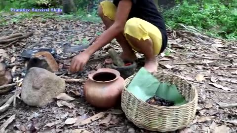 Find Catch Insects On Tree for Food - Cook Insects for Delicious Eat, Primitive Survival Skill