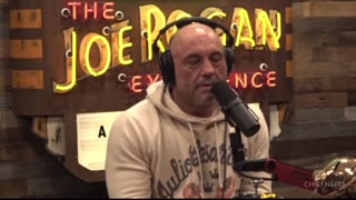 Joe Rogan Weighs In On The Deep State's Attempts To Hurt Trump