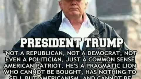 Our True President Trump!