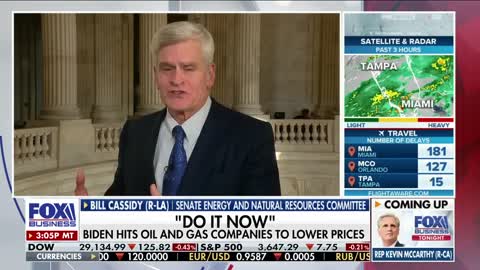 We need the president to open the tap on public lands: Bill Cassidy