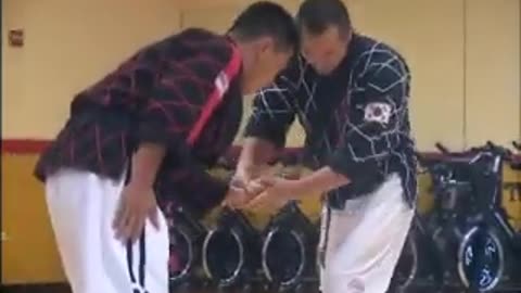 Hapkido Master Self Defense DEMO