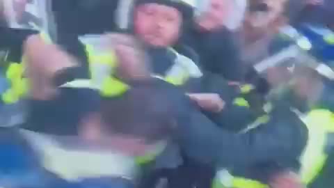 Police brutally at peaceful protest London