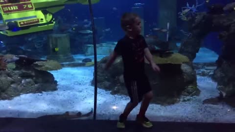 Funny Kids at the Aquarium | Girl SPOOKED By A Beluga Whale!