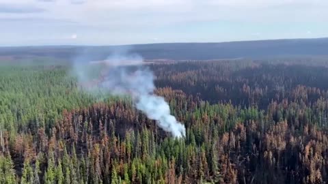 Aerial video shows charred British Columbia forests