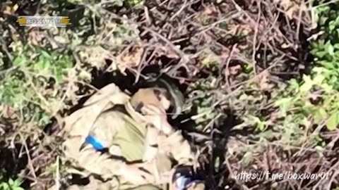 ‼️☢️📌Footage of abandoned bodies of the Armed Forces of Ukraine on the front line