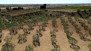 Unseasonal heat scorches Spanish countryside