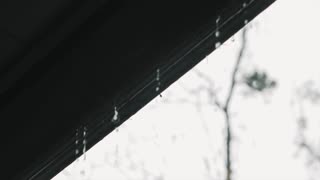 calming rain sounds to sleep