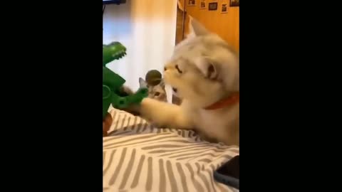 funny cat and dog videos 🤣 part 1# 2022