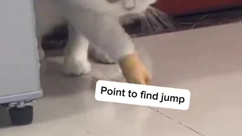 Point to find the jump