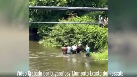 Jesus "Chucho" Ortiz Crocodile Attack Viral Footage