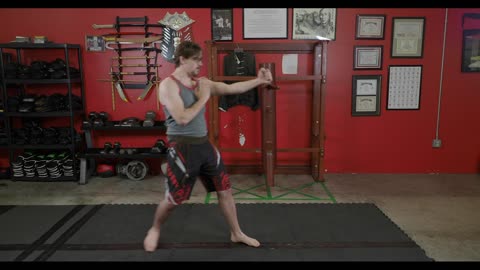 Wing Chun - Line Drill in Fighting Stance