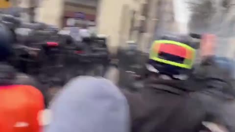 PROTESTORS THROW SEAWEED AT FRENCH OFFICIAL