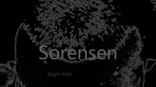 Charles Sorensen - Night Walk