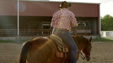 Rodeo Cowboy on Horse, Austin Texas