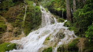 Serene Mountain Stream Captivating Water Flow Visuals 🌊