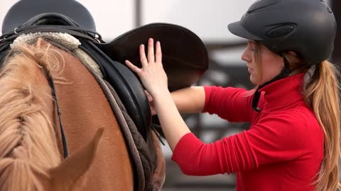 Young woman saddles a horse outdoors