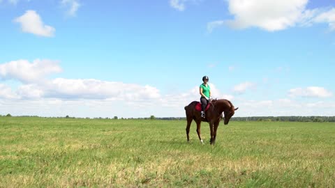 Young woman rider riding a horse on the field